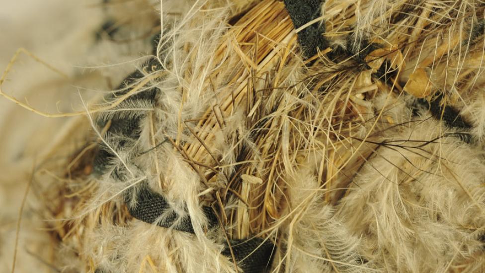 Close up view of the weave of a woven basket