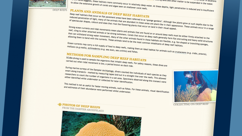 Screen shot from the "Marine Life of the Dampier Archipelago" website Developed by the WA Museum
