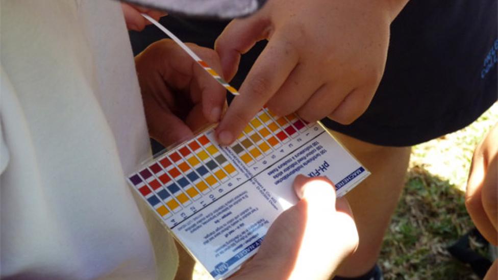 A child looking at a ph chart