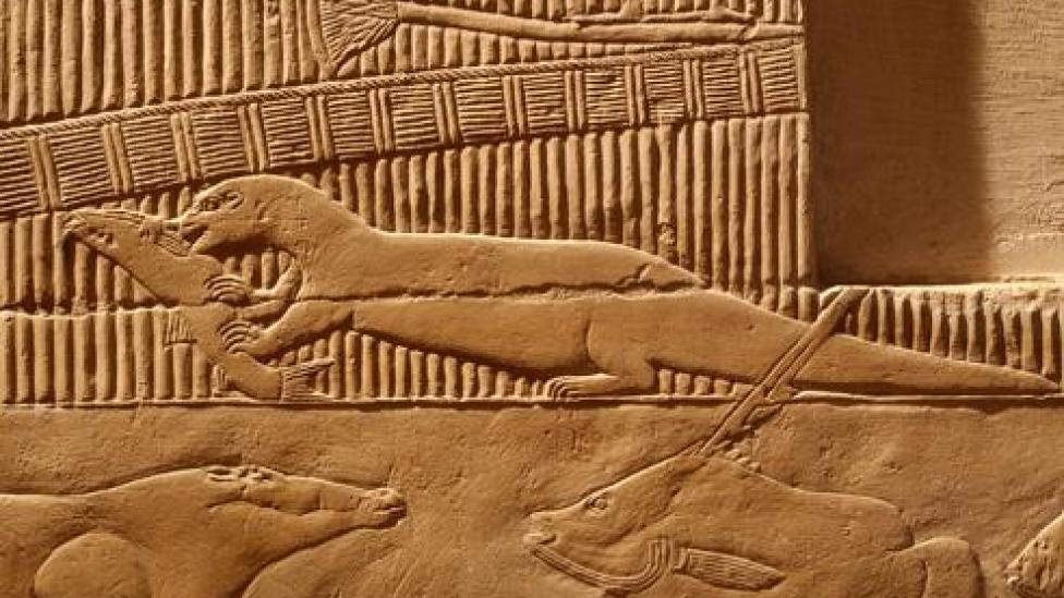 An ancient Egyptian wall