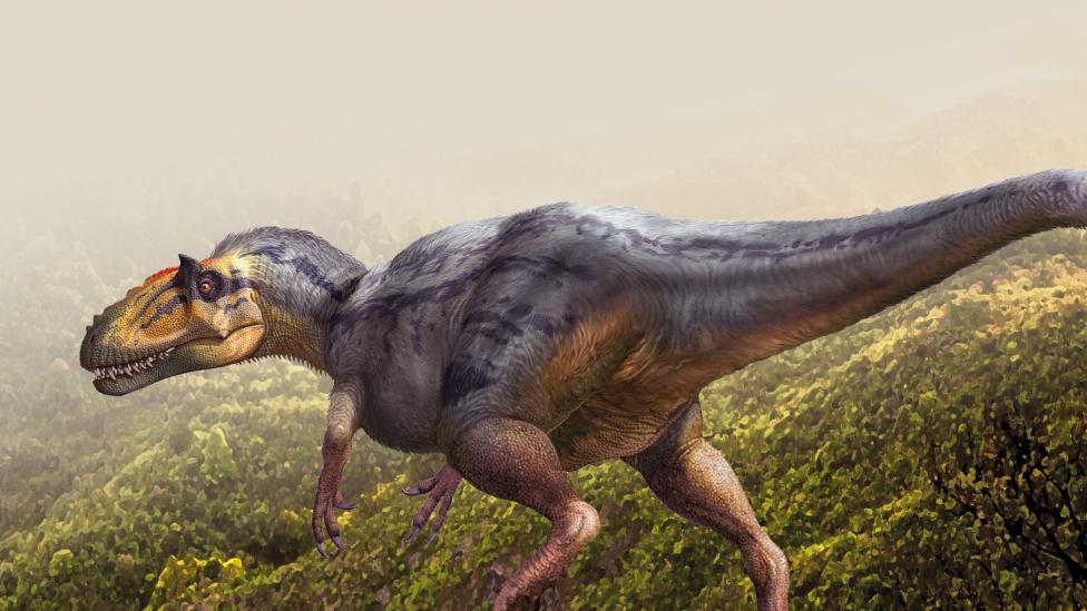 At 9 metres long, a close relative of Tyrannosaurus and had simple, filament-like feathers that would have looked much like fur from a distance