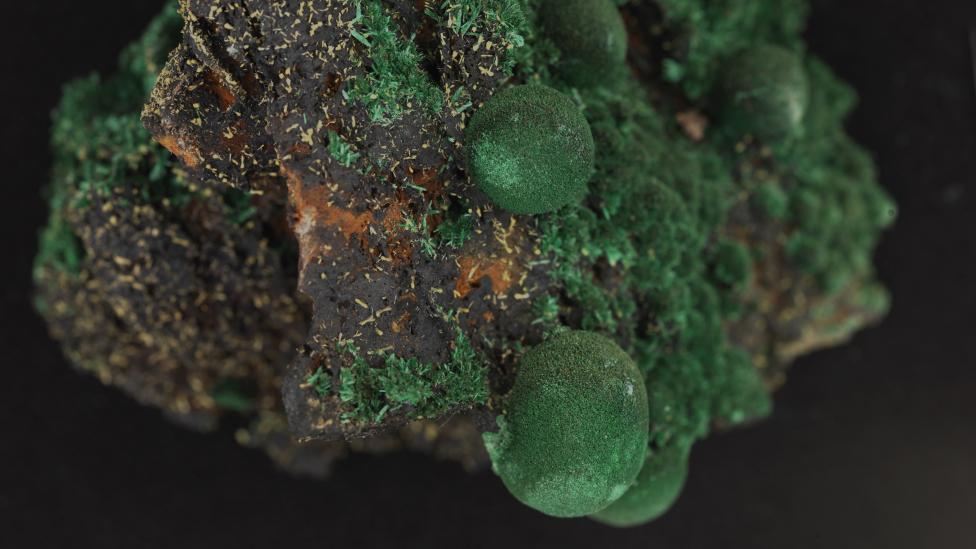 Image of the mineral Malachite with associated pyromorphite.