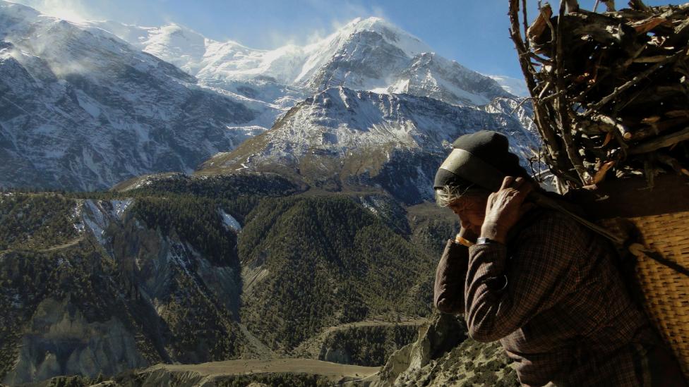 A Nepalese woman hauls a load of tinder across an alpine landscape.