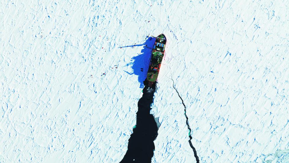 Image copyright Australian Antarctic Division