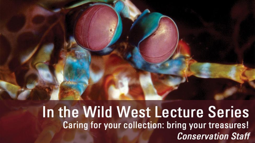 Image copyright of WA Museum