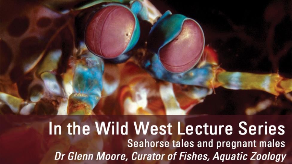 Image copyright of WA Museum