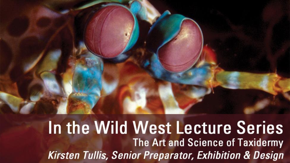 Image copyright of WA Museum