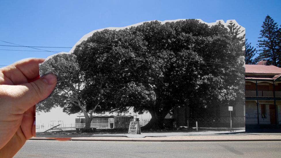 Image copyright of ABC Open