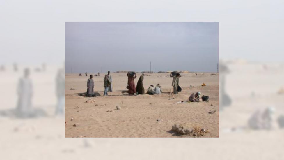 A group of people working in the Egyptian desert
