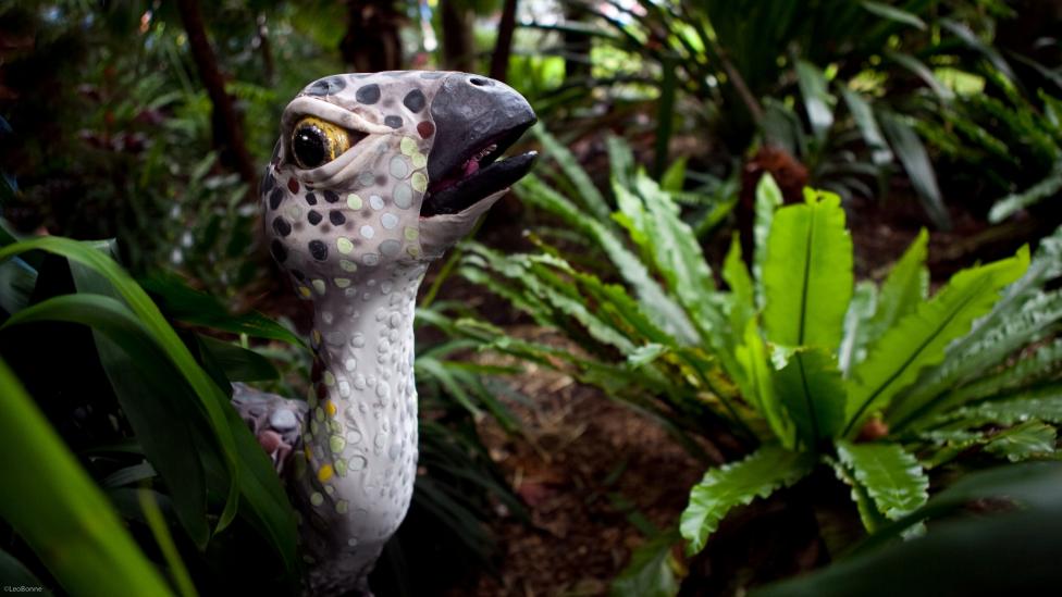 Image copyright of WA Museum