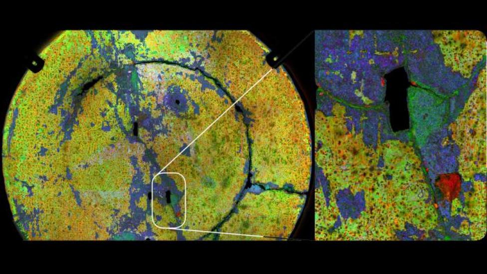 The de Vlamingh dish: X-Ray Map