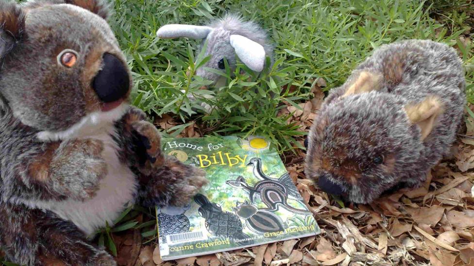 Stuffed animals toys and books about local wildlife
