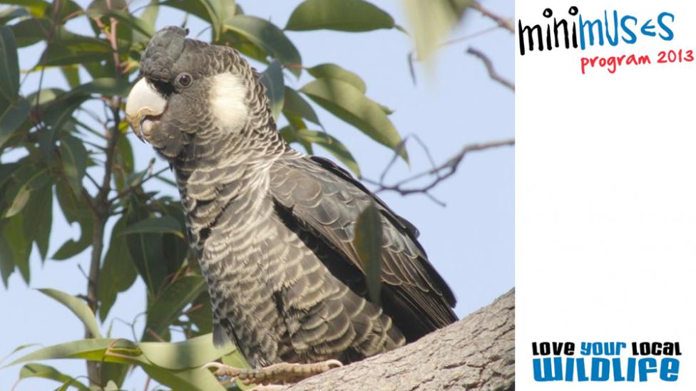 Photo courtesy Tony Kirby.