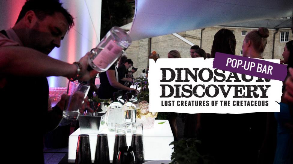 Drinks being poured at night