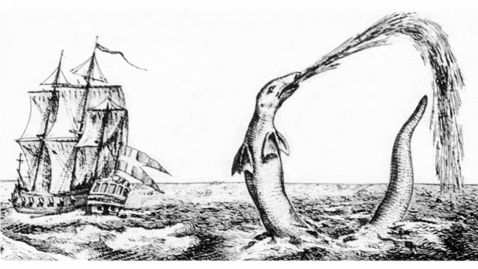  Source: Ellis, R. 1998. ''The Search for the Giant Squid''. This image is in the public domain because its copyright has expired.