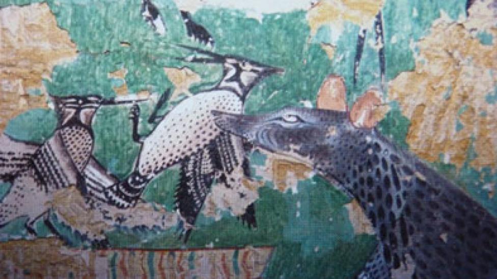 Image courtesy of Prof Karol Myśliwiec