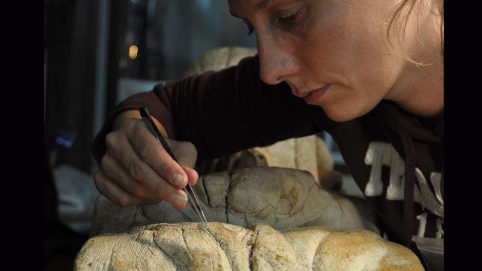 Image copyright of WA Museum