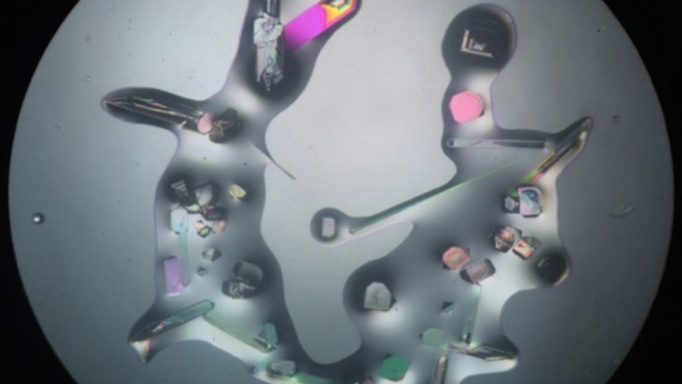 Make your own microscopic crystal art Western Australian Museum