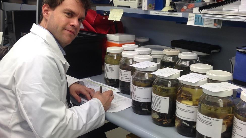 Dr Kenny Travouillon, Curator of Mammalogy