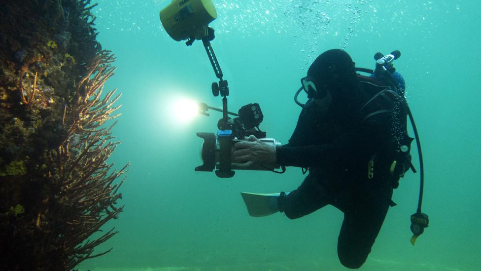 Patrick Baker diving at Bussellton Jetty