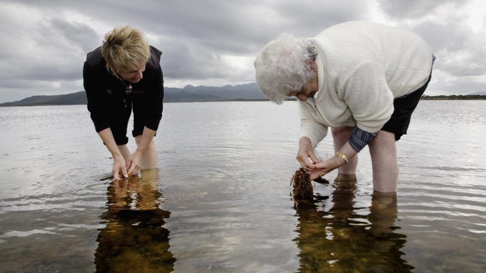 "Two women searching for materials in still water."