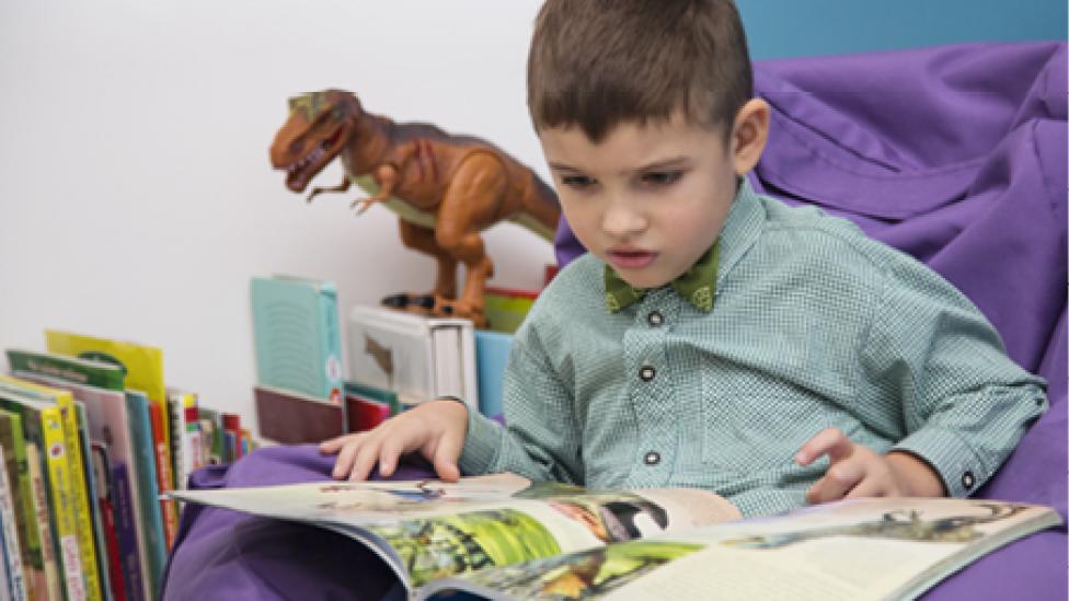 "A young boy is reading a dinosaur book."