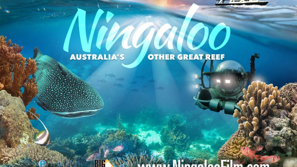 Ningaloo Reef Experience at The Royal Show Western Australian Museum