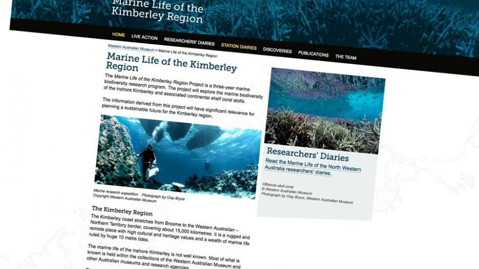 Screen shot from the "Marine Life of the Kimberley Region" website