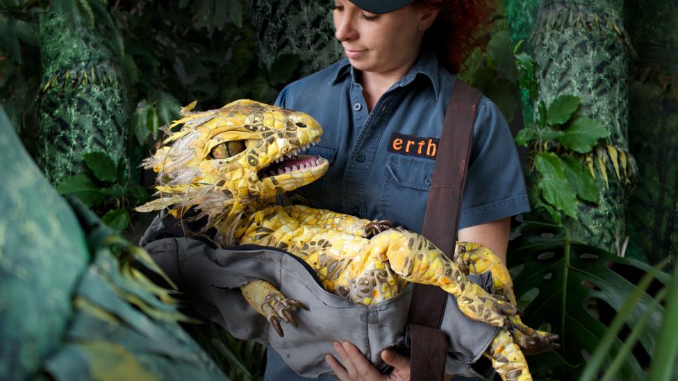 Baby Australovenator puppet with handler