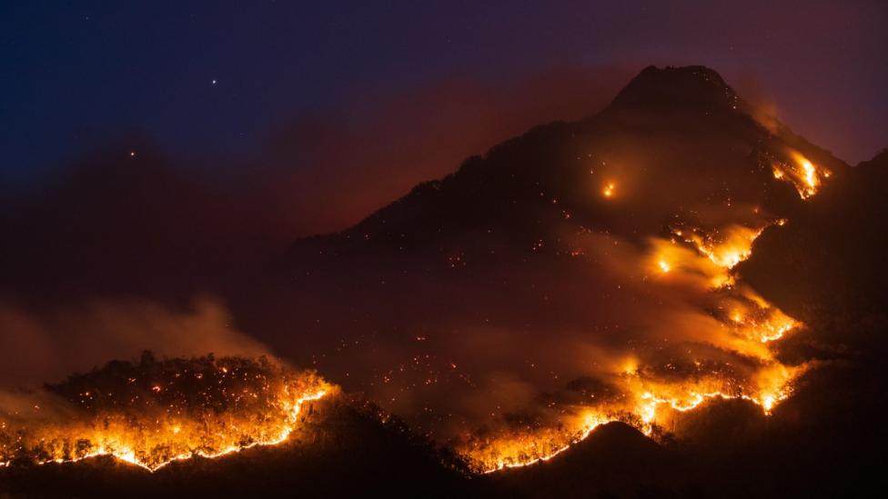 A fire burning at Mt Barney National Park