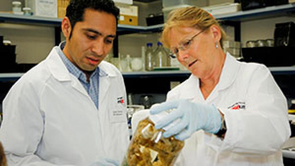 Two scientists examining a large specimen jar