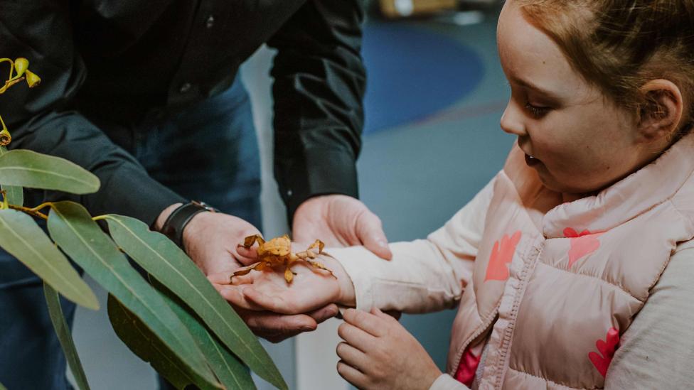 Young girl with an insect on her hand