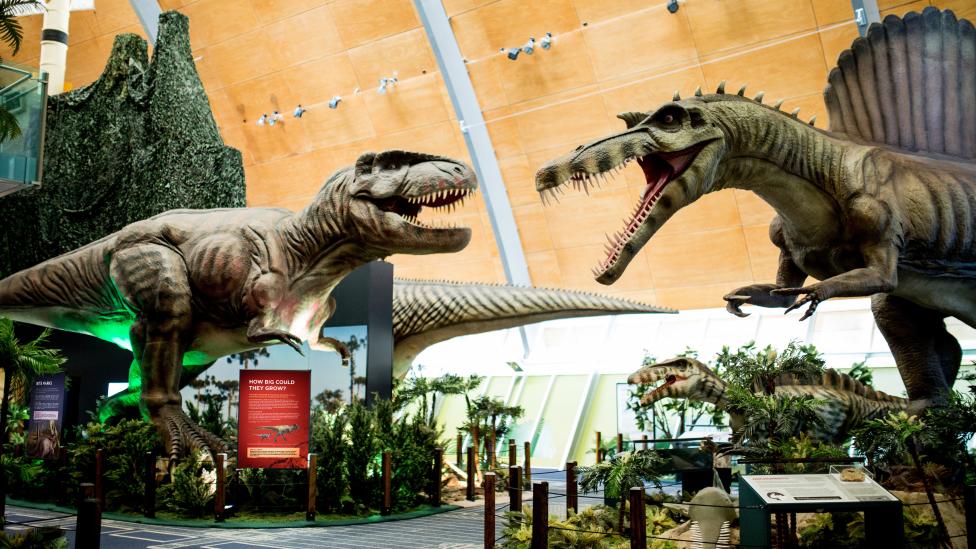 Dinosaur Discovery: Lost Creatures of the Cretaceous exhibition