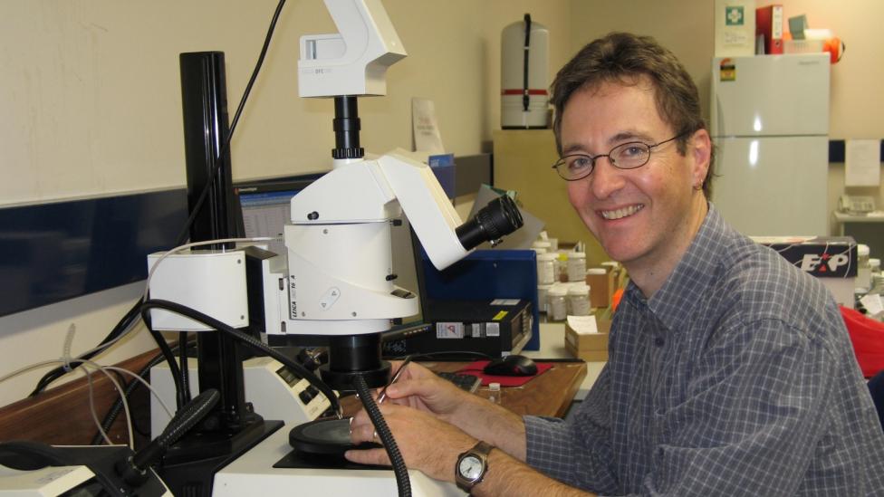 Scientist sitting at a desk near a microscope