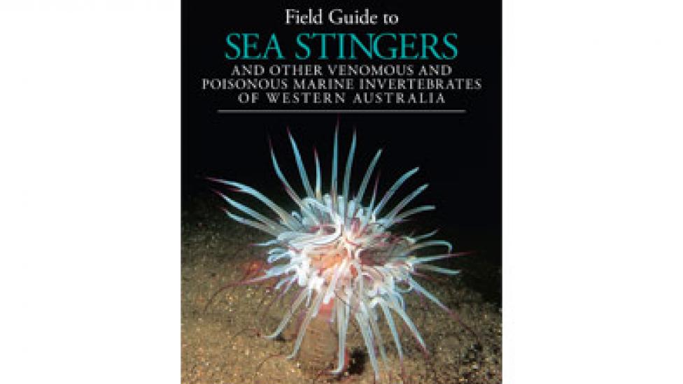 Book cover to the book 'A Field Guide to Sea Stingers'