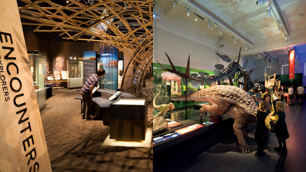 Display from the Encounters exhibition and dinosaur skeletons lit up and on display