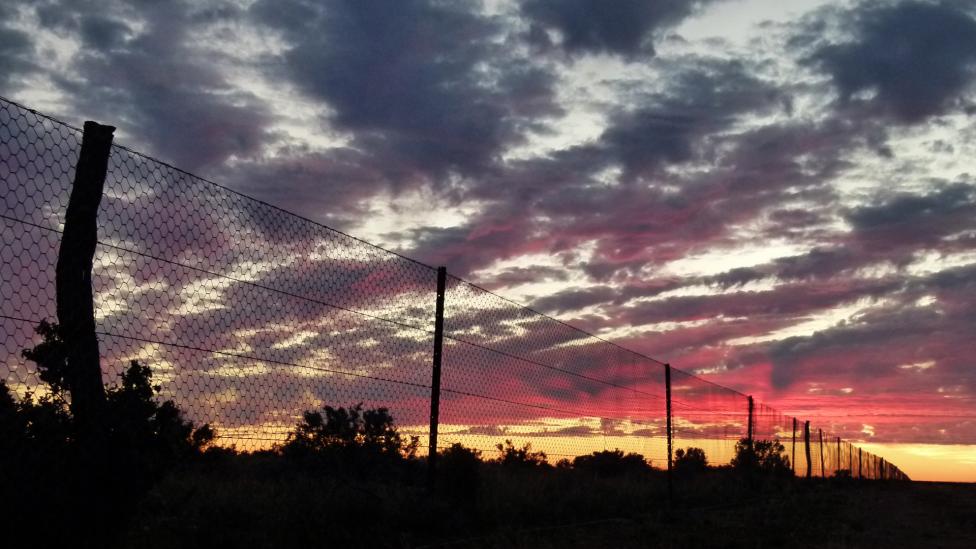 Desert Fireball Networking - fence line at sunset