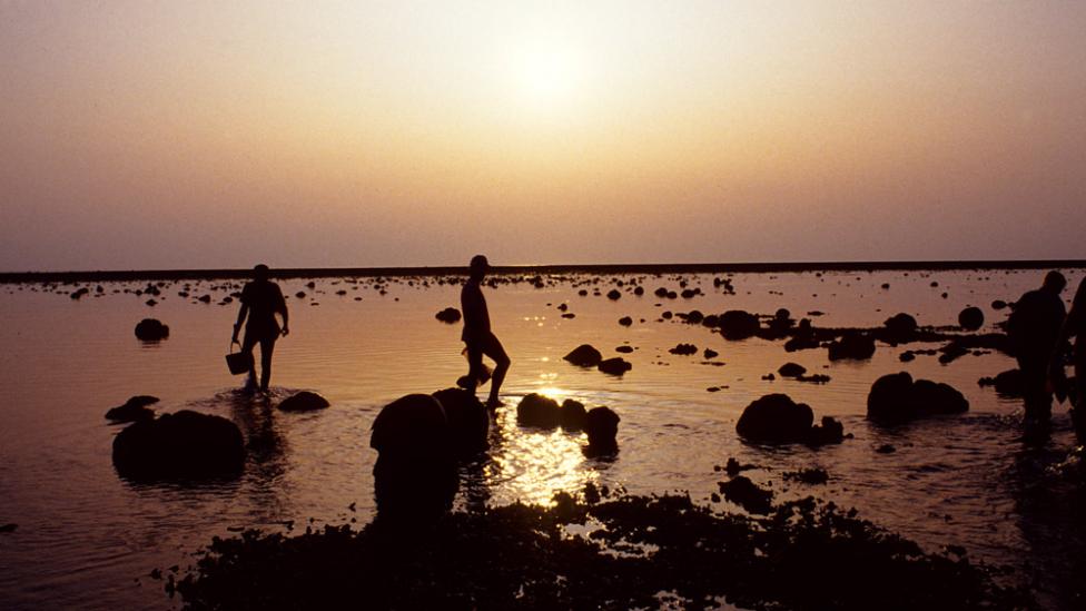 Kimberley low tide.