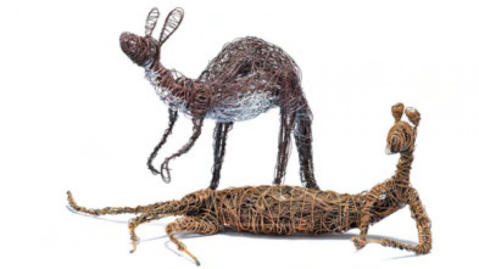 Artwork courtesy of Tapatjatjaka Art and Craft Centre. Photo copyright of theFr Australian Museum