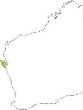 Distribution map for Northern Sandhill Frog