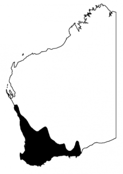 Distribution map of the Bleating Froglet