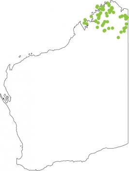 Distribution map for Bilingual Froglet