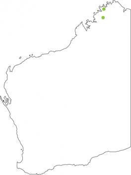 Distribution map for Kimberley Froglet