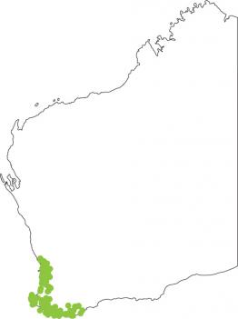 Distribution map for Rattling or Clicking Froglet