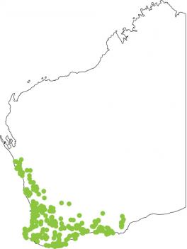 Distribution map for Western Banjo Frog