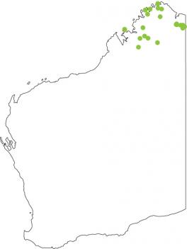 Distribution map for Carpenter Frog