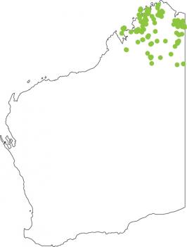 Distribution map for Rock Frog