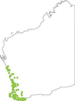 Distribution map for Motorbike Frog