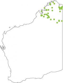 Distribution map for Pale Rocket Frog