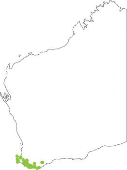 Distribution map for Forest Toadlet